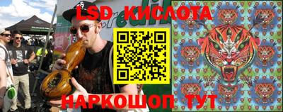 PSILOCYBIN Кинель