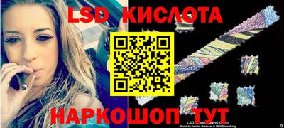 PSILOCYBIN Кинель
