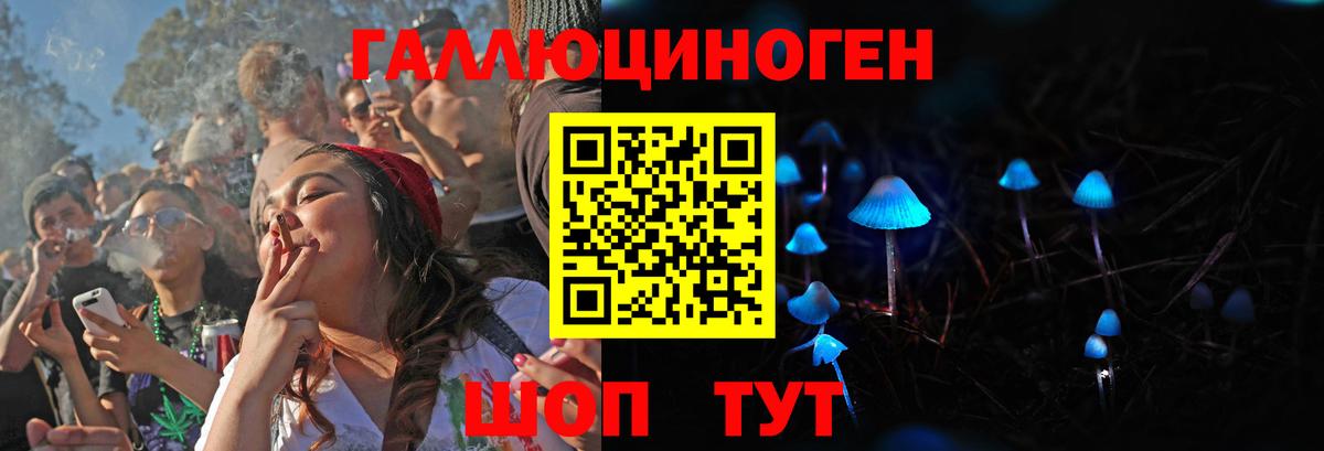 Псилоцибиновые грибы GOLDEN TEACHER Кирово-Чепецк