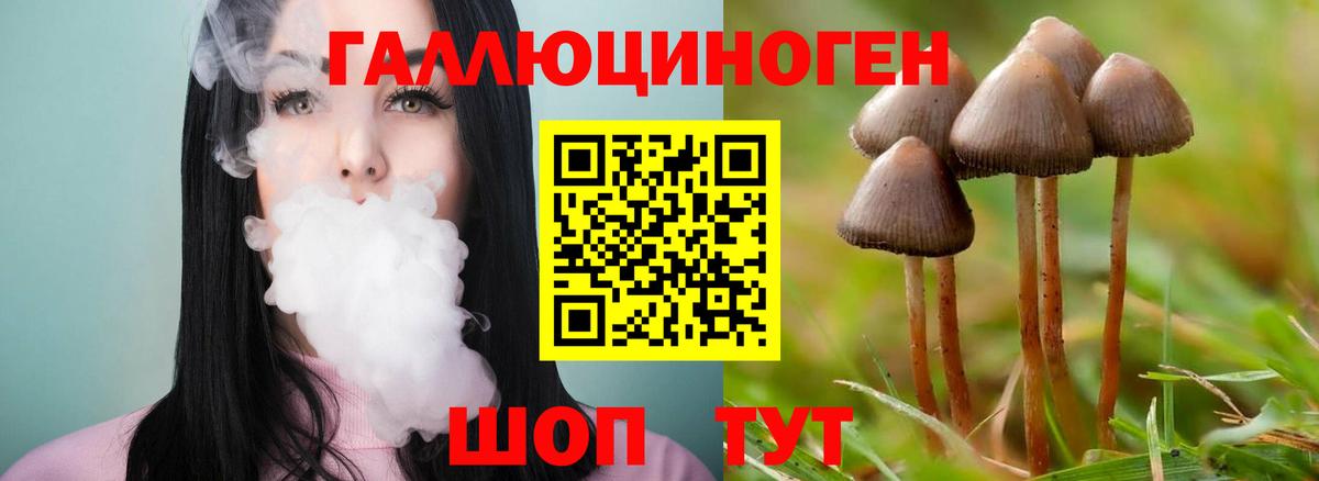 Псилоцибиновые грибы Magic Shrooms  Вход с VPN  Кирово-Чепецк 